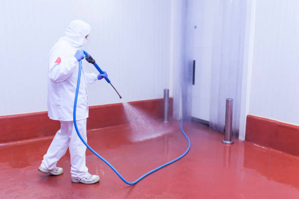 Best Sidewalk and Walkway Cleaning  in Battle Mountain, NV